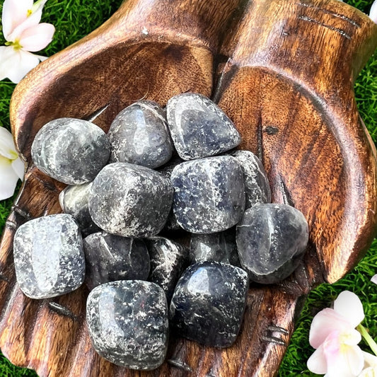 TUMBLE STONES || IOLITE