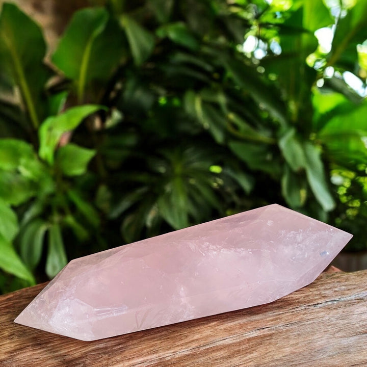 GENERATOR || ROSE QUARTZ DOUBLE TERM POINT