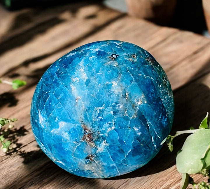 PALM STONES || APATITE