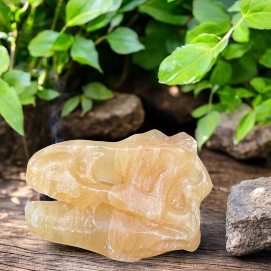 CARVINGS || ORANGE CALCITE DINOSAUR SKULL