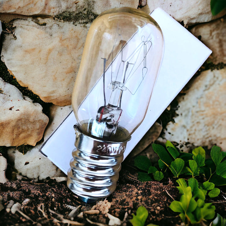 HEALING LAMPS || BULB / GLOBE