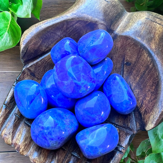TUMBLE STONES || PURPLE HOWLITE