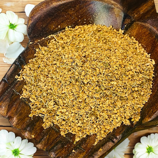 HERBS || ELDERFLOWER