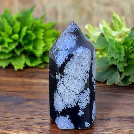 GENERATORS || SNOWFLAKE OBSIDIAN
