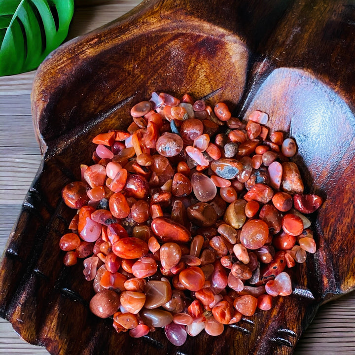 CRYSTAL CHIPS || RED JASPER