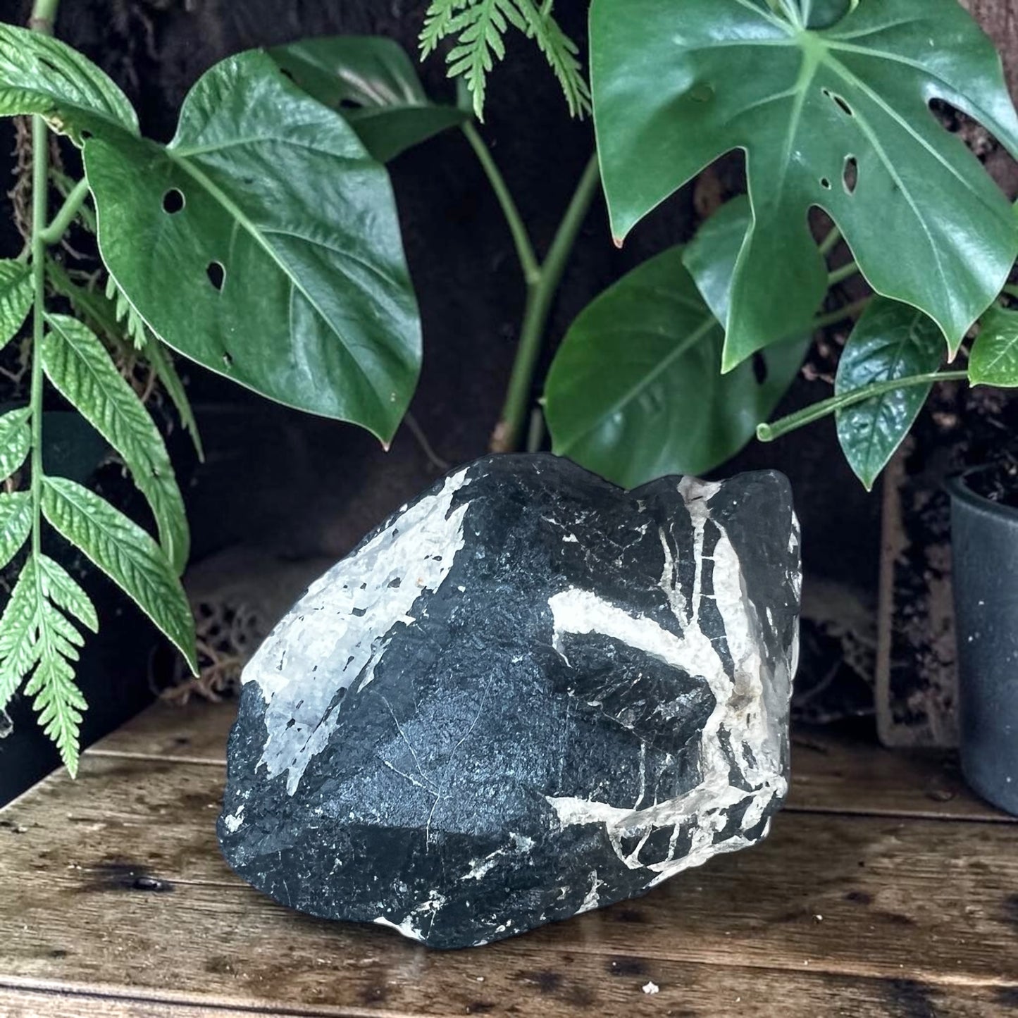 ROUGH STONES || BLACK TOURMALINE WITH QUARTZ - XL
