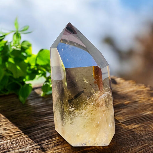 GENERATOR || NATURAL CITRINE