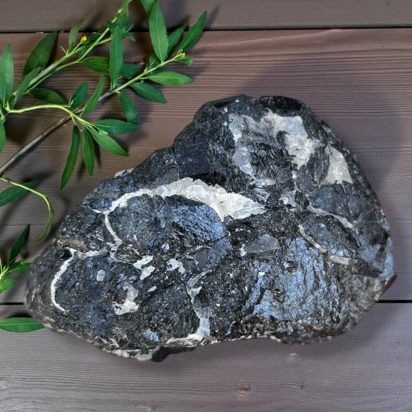 ROUGH STONES || BLACK TOURMALINE WITH QUARTZ - XL