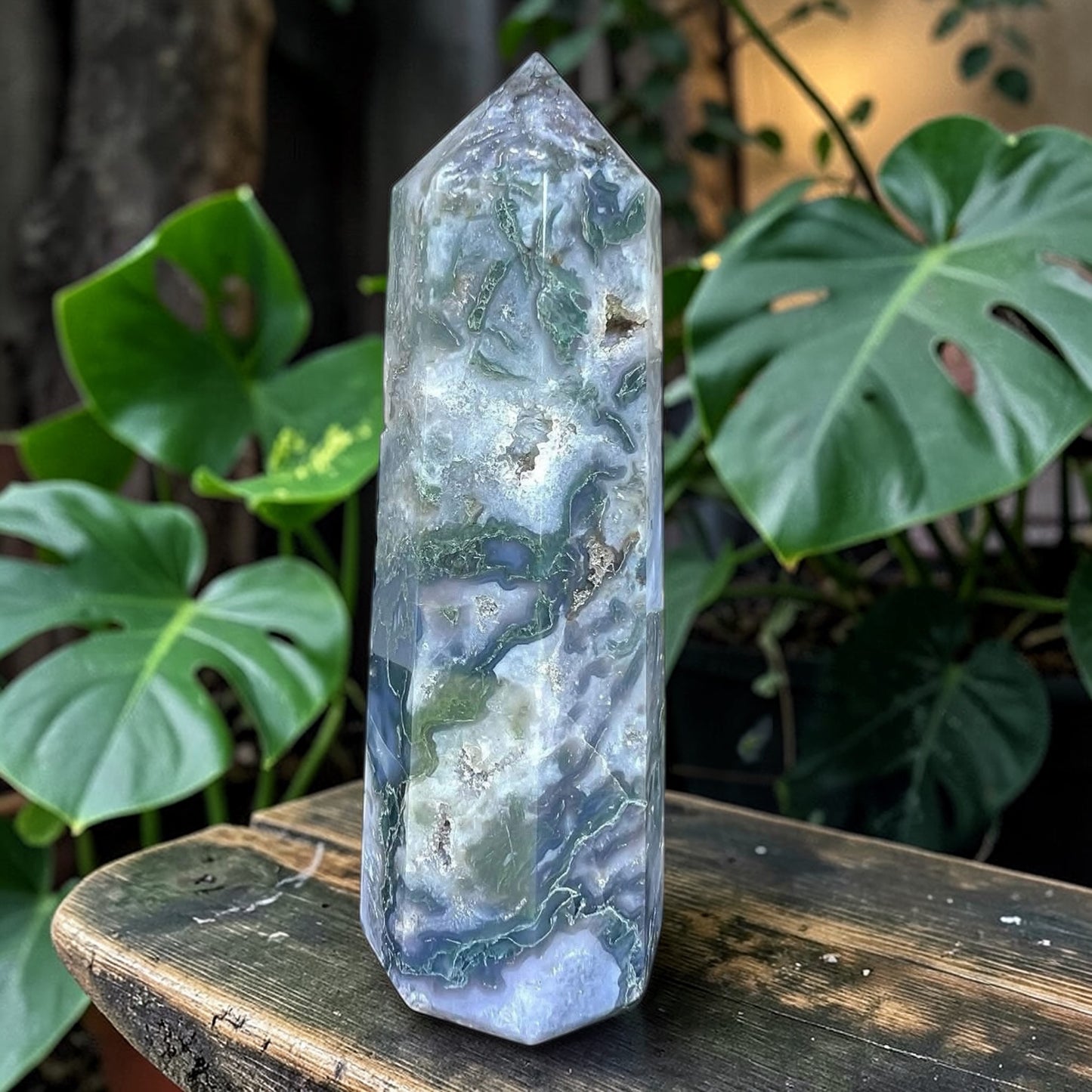 GENERATOR || MOSS AGATE