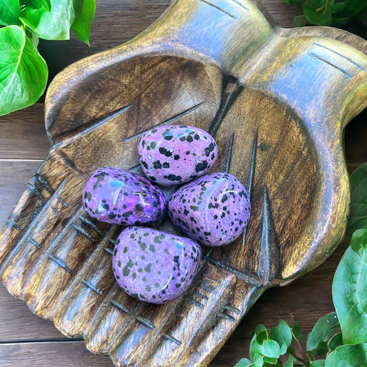 TUMBLE STONES || PURPLE DALMATION JASPER