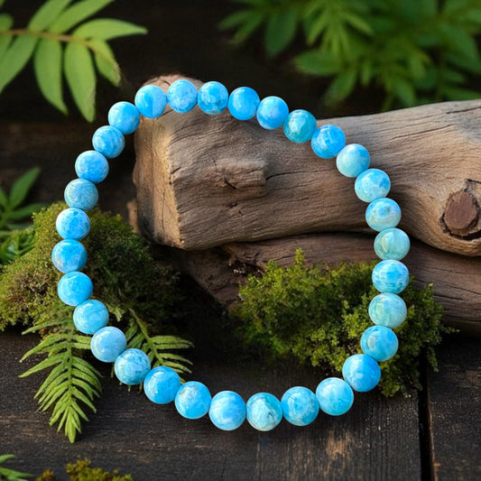 BRACELET || APAPTITE