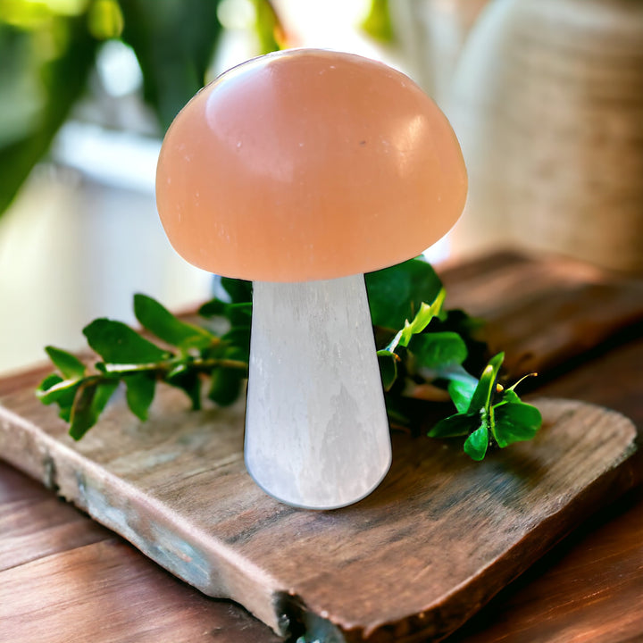 CARVINGS || SELENITE & PEACH SELENITE MUSHROOM