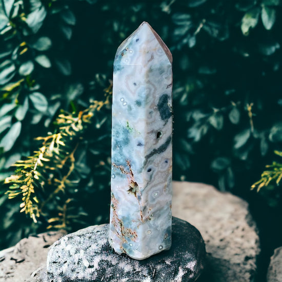 GENERATORS || OCEAN JASPER