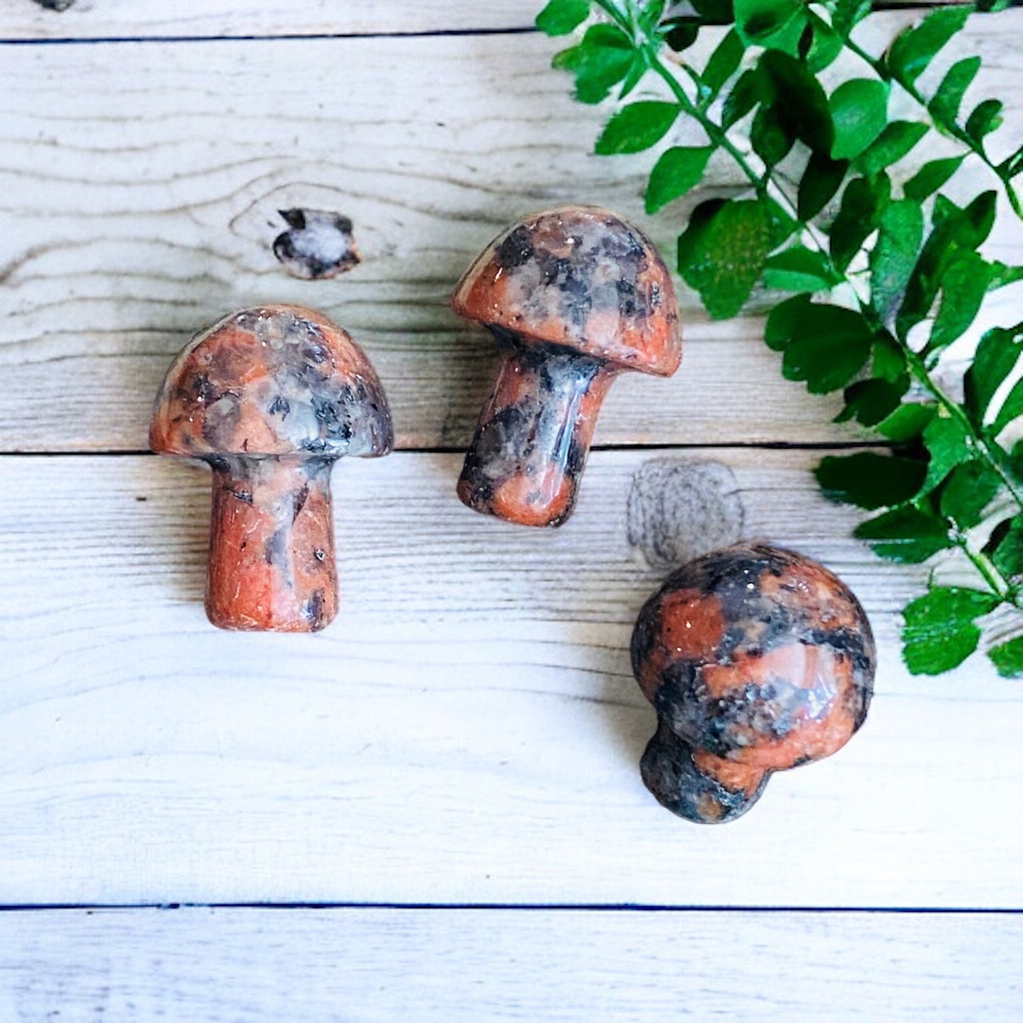 CARVINGS || POPPY JASPER MINI MUSHROOM