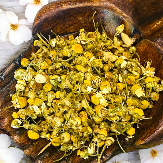 HERBS || CHAMOMILE
