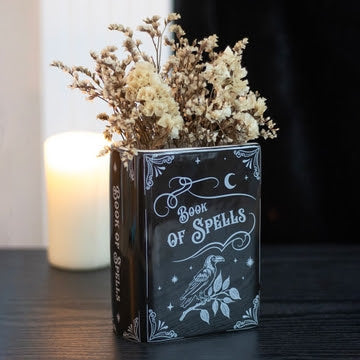 MUGS || BOOK OF SPELLS RAVEN VASE