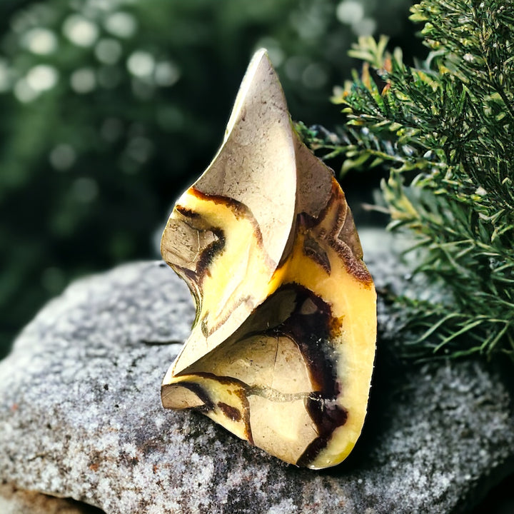 GENERATORS || SEPTARIAN FLAME