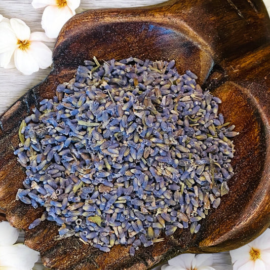 HERBS || LAVENDER