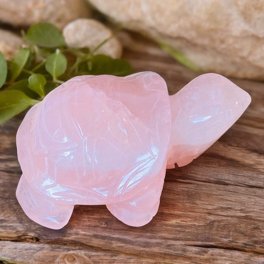 CARVINGS || ROSE QUARTZ TORTOISE