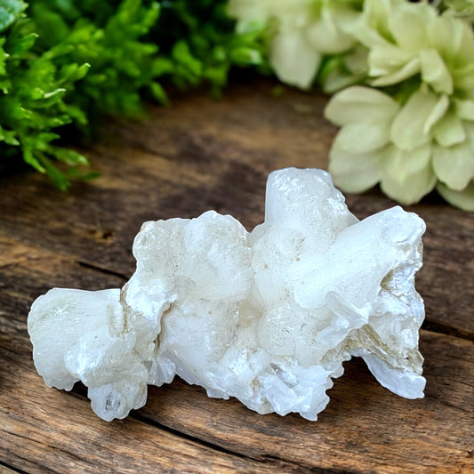 CLUSTERS || STILLBITE