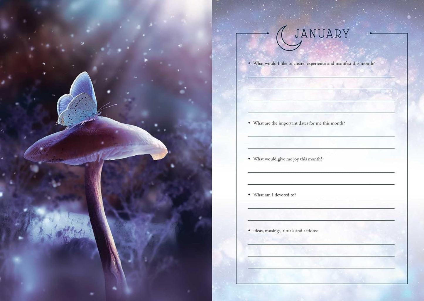 BOOKS || 2025 LUNAR & SEASONAL DIARY - NORTHERN & SOUTHERN HEMISPHERES
