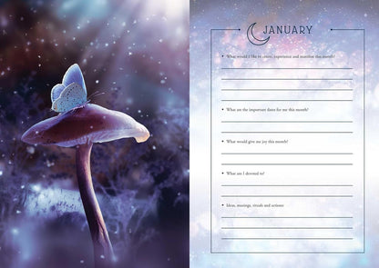 BOOKS || 2025 LUNAR & SEASONAL DIARY - NORTHERN & SOUTHERN HEMISPHERES