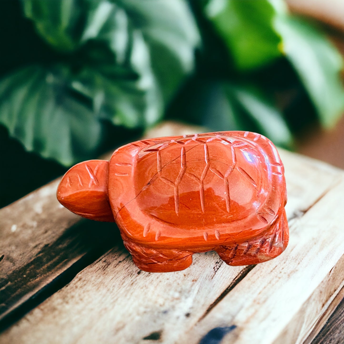 CARVINGS || RED JASPER TORTOISE