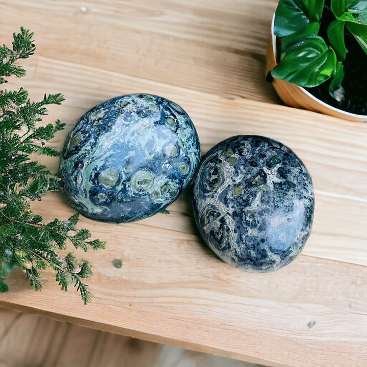 PALM STONES ||  KAMBABA JASPER