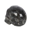 CARVINGS || BLACK LABRADORITE SKULL