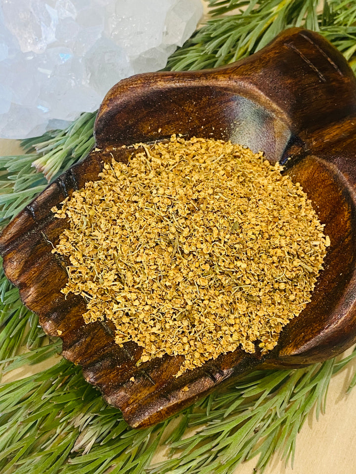 HERBS || ELDERFLOWER