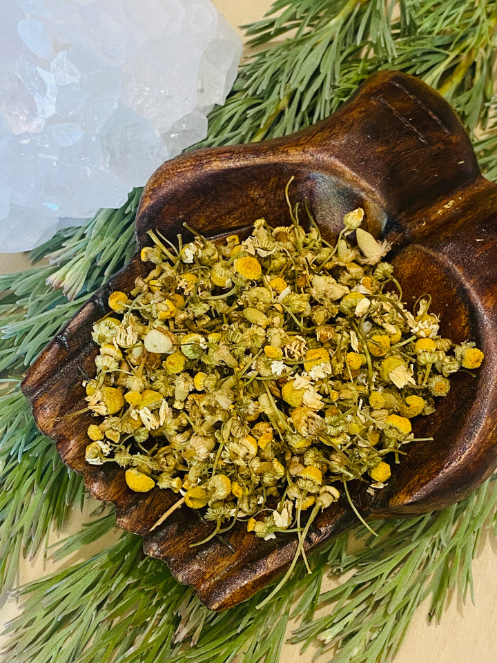 HERBS || CHAMOMILE