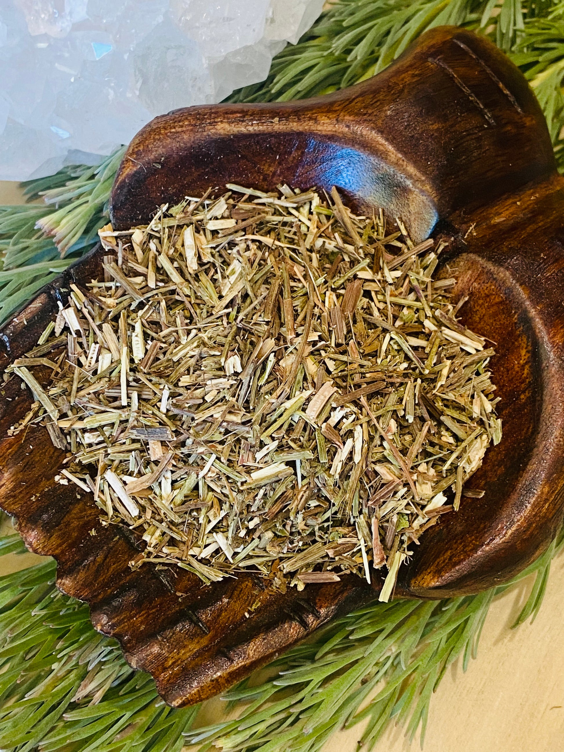 HERBS || VERVAIN