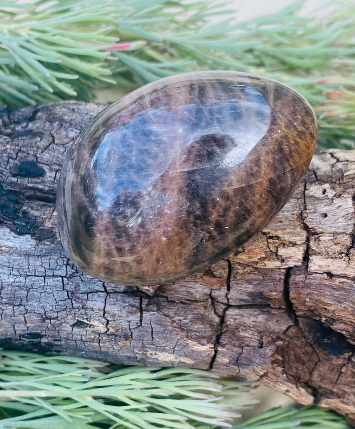 PALM STONES || BLACK MOONSTONE
