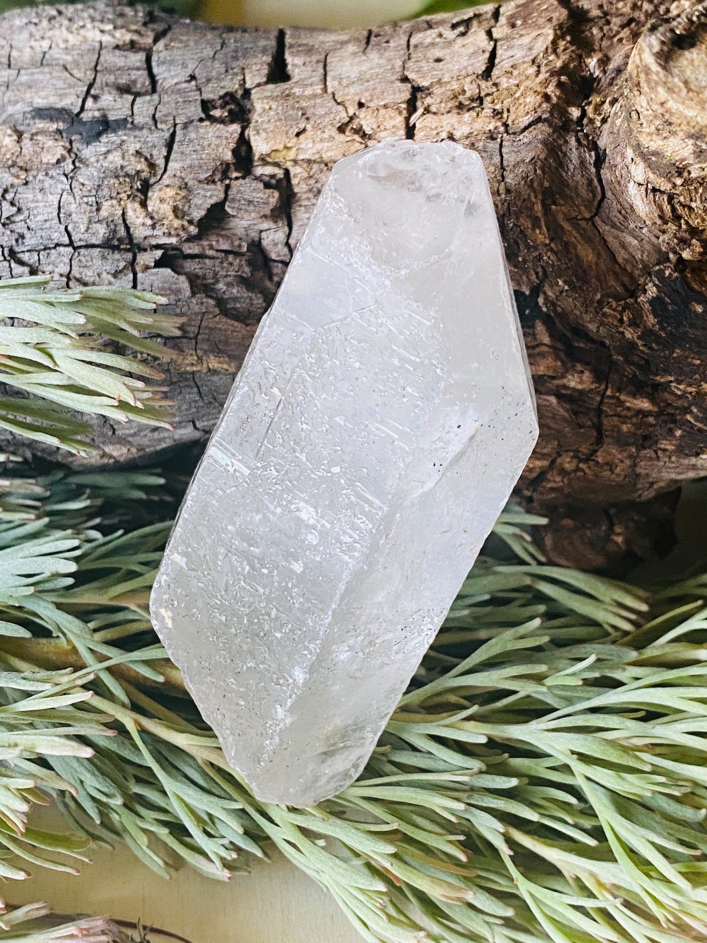 QUARTZ POINTS || ANCESTRAL QUARTZ