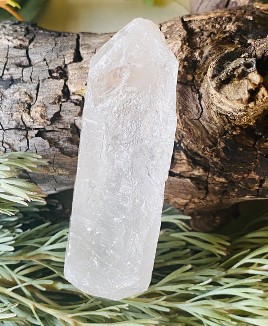 QUARTZ POINTS || ANCESTRAL QUARTZ