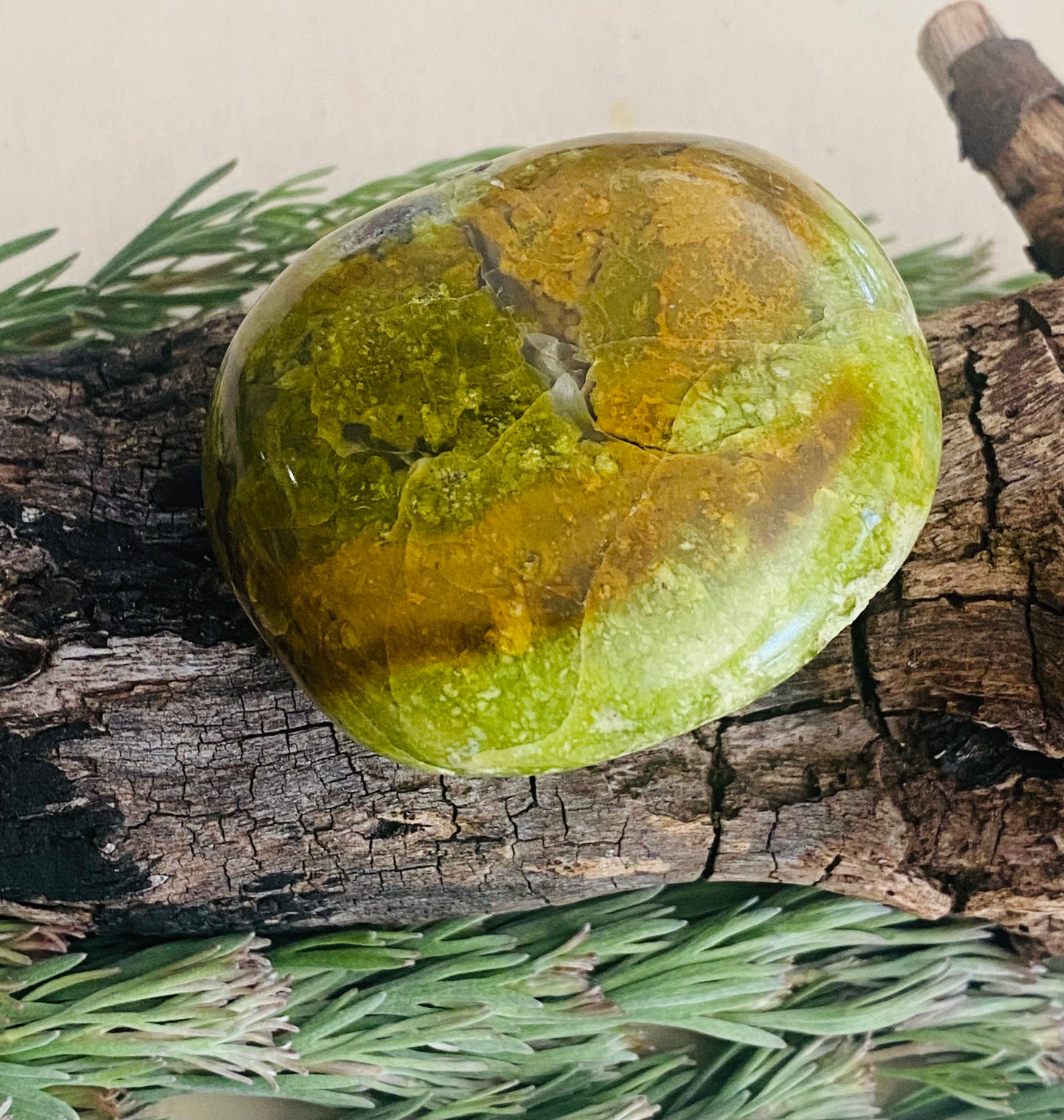 PALM STONES || GREEN OPAL