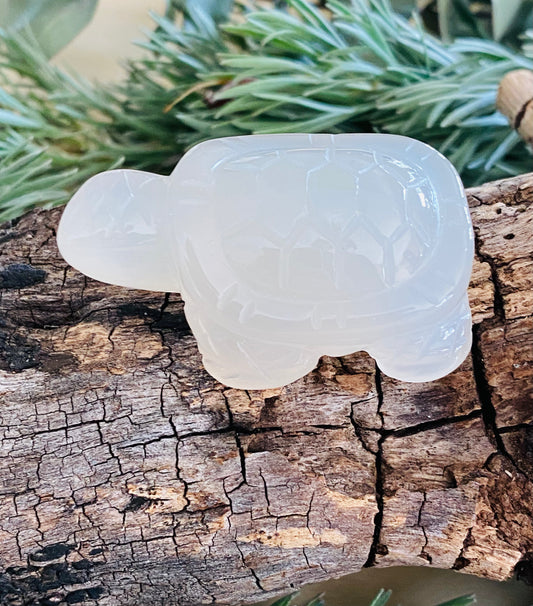 CARVINGS || AGATE TORTOISE