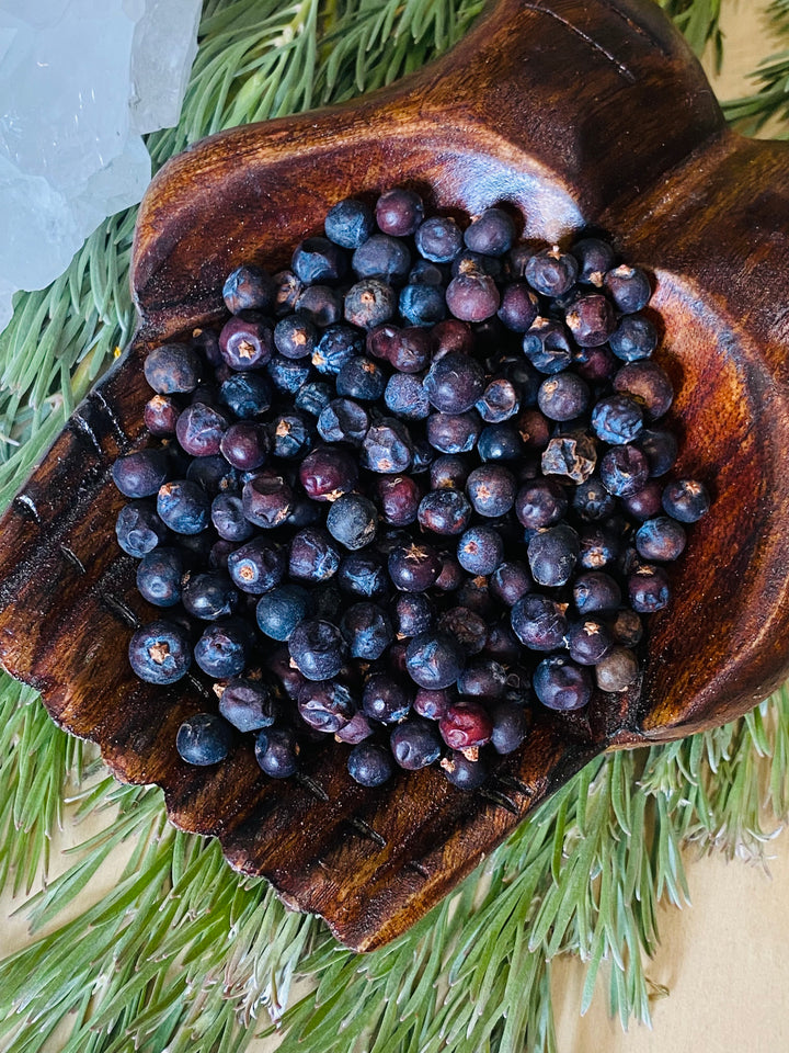 HERBS || JUNIPER BERRIES