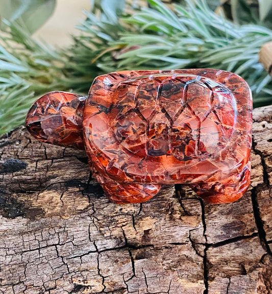 CARVINGS || BRECCIATED JASPER TORTOISE