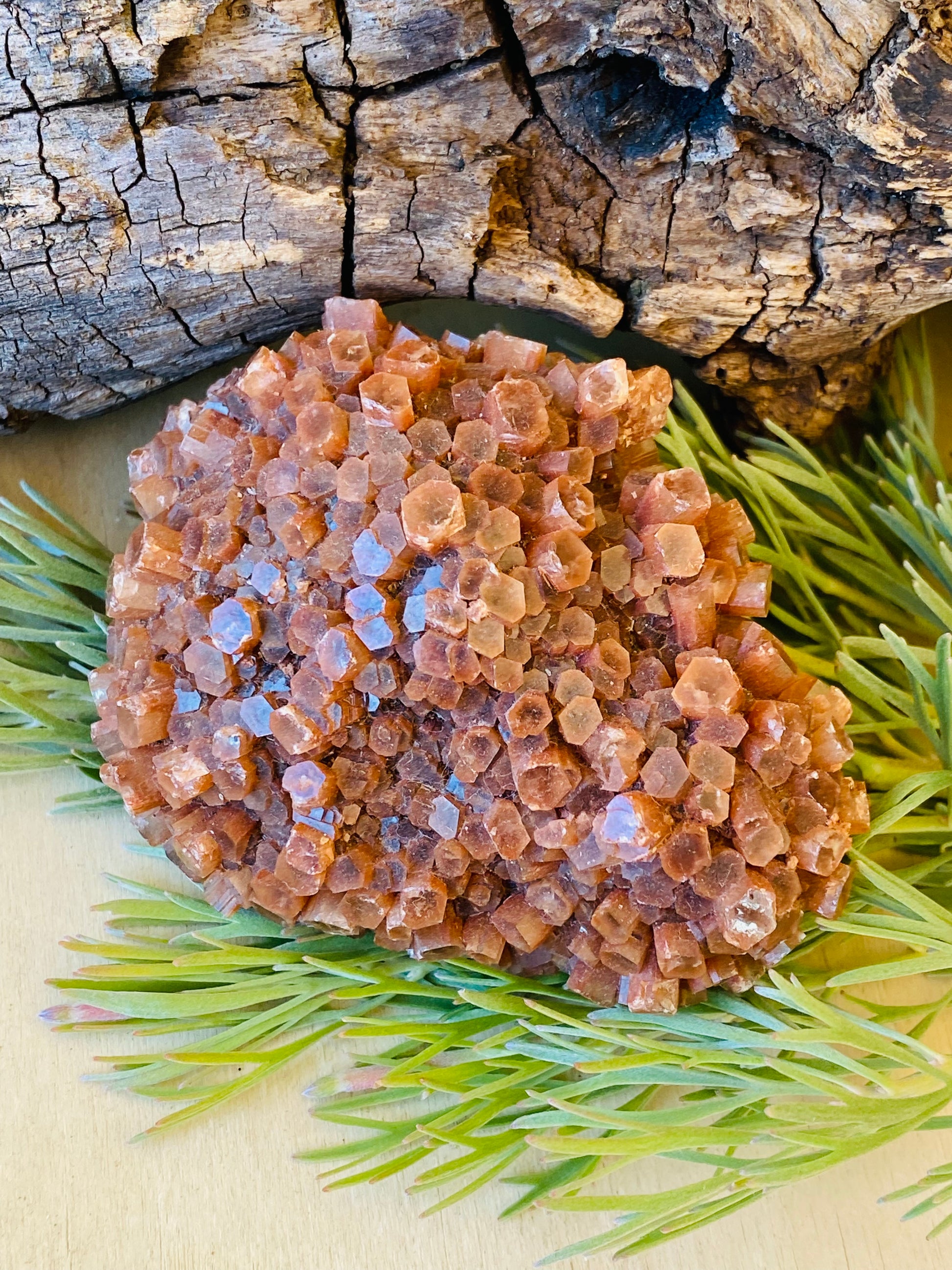 CLUSTER || ROUGH ARAGONITE