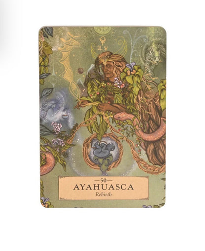 ORACLE CARDS || THE HERBAL ASTROLOGY