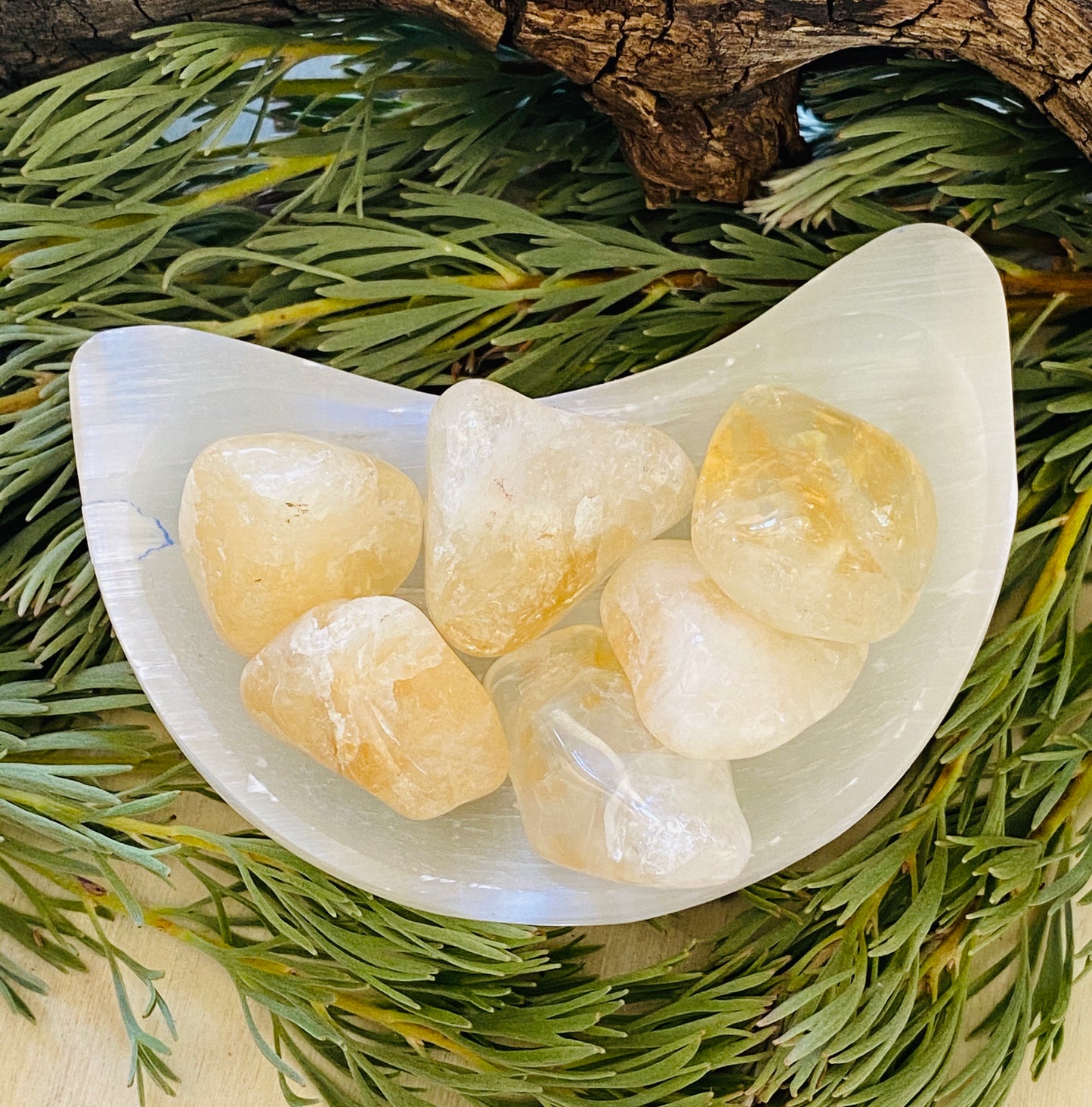 TUMBLE STONES || CITRINE