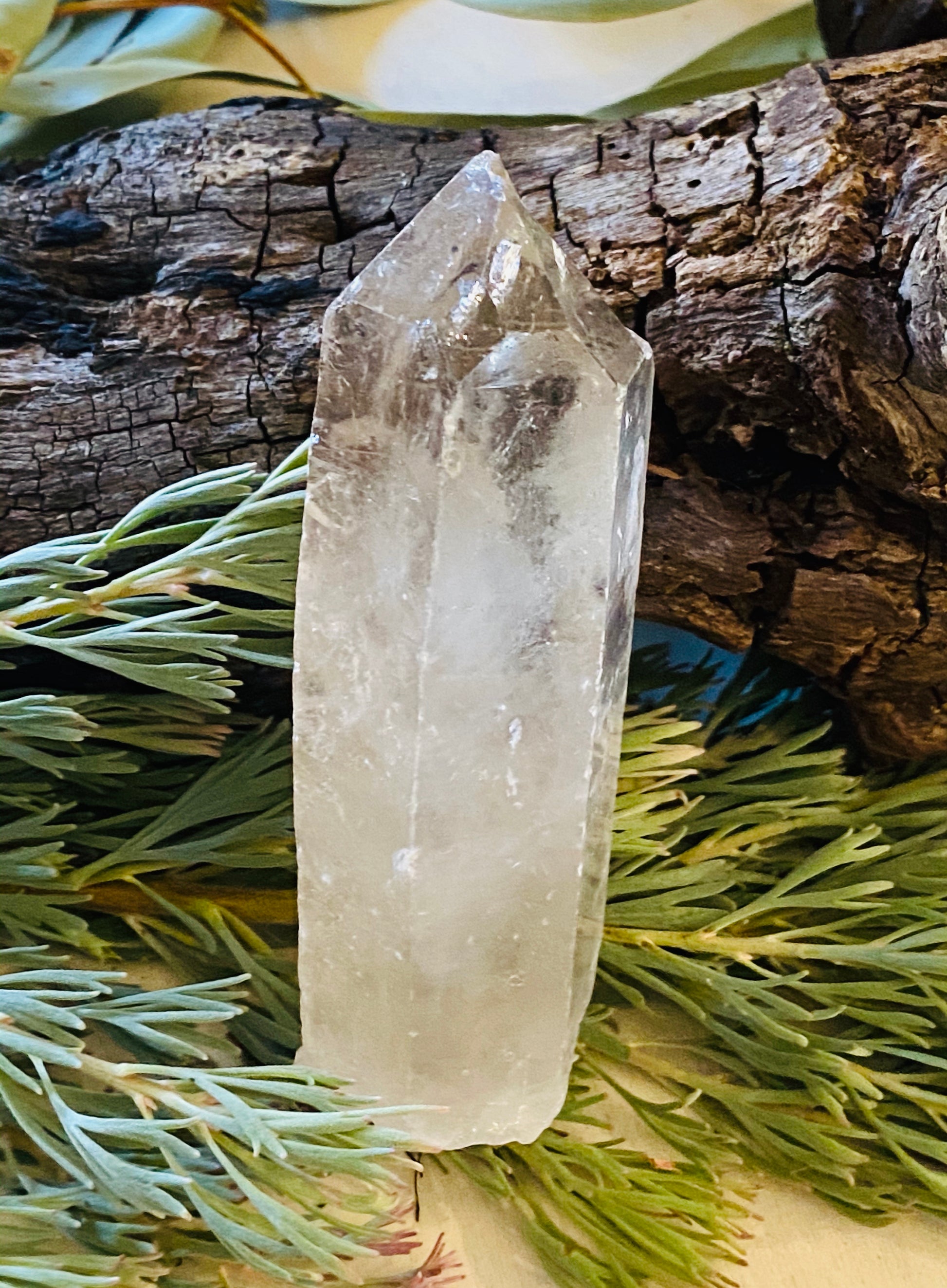 QUARTZ POINTS || WINDOW QUARTZ