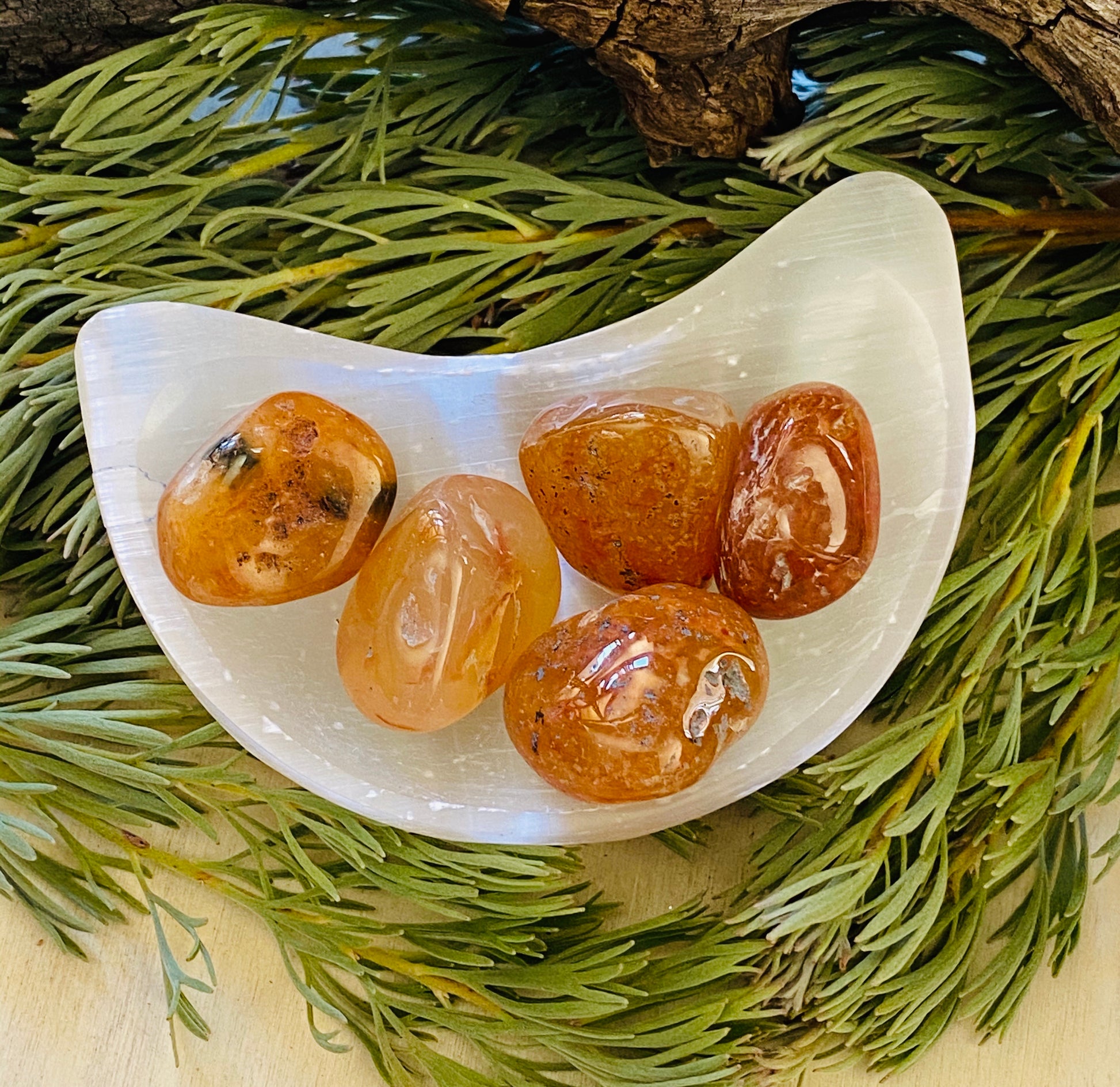 TUMBLE STONES || CARNELIAN